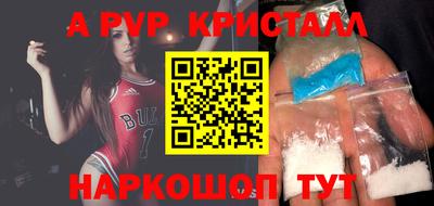 мет Кингисепп