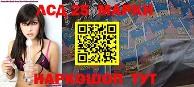 мет Кингисепп
