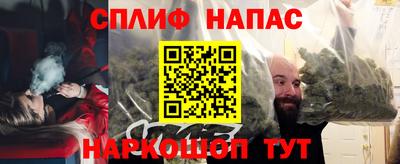 мет Кингисепп