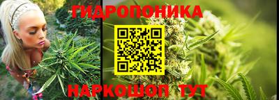 мет Кингисепп