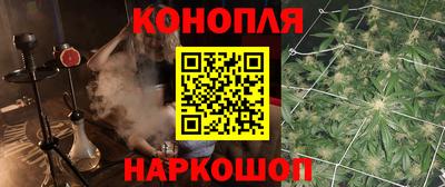 мет Кингисепп