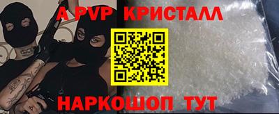 мет Кингисепп
