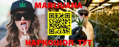 мет Кингисепп