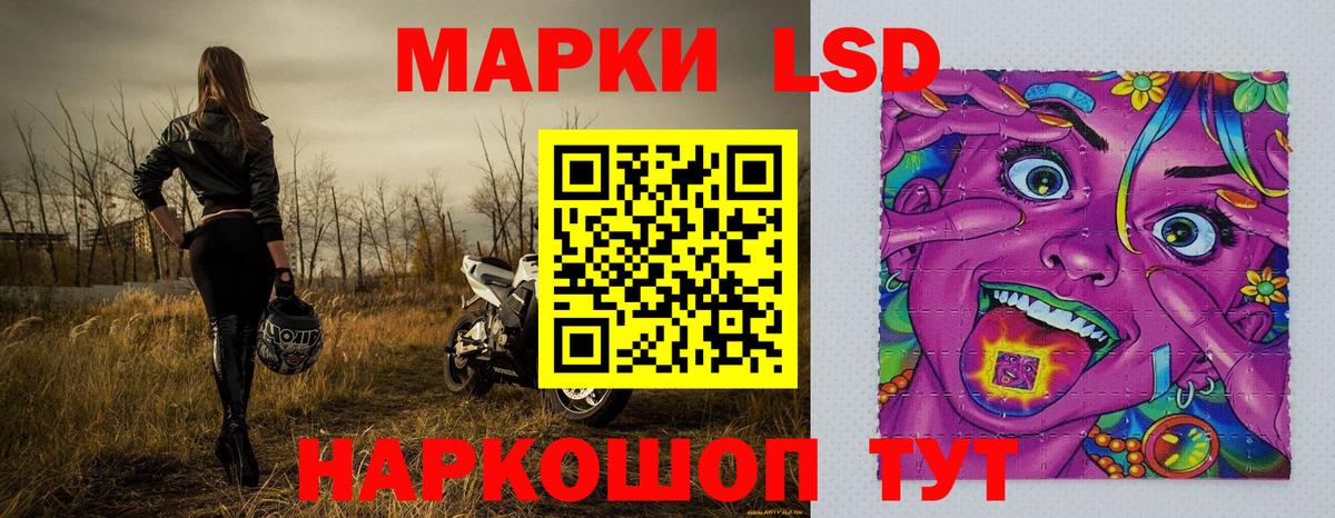 Марки NBOMe  Вход с VPN  Лесной  Марки NBOMe 1,5мг  Марки NBOMe 1,5мг 