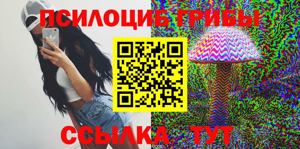 Лесной  Псилоцибиновые грибы Psilocybe  Вход с VPN  Псилоцибиновые грибы MAGIC MUSHROOMS 