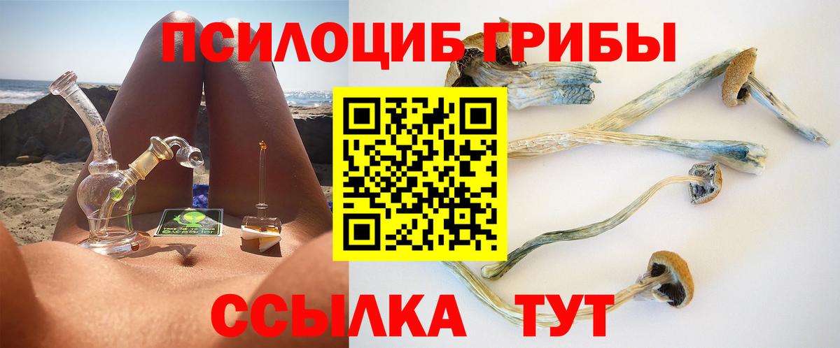 Псилоцибиновые грибы мицелий Лесной